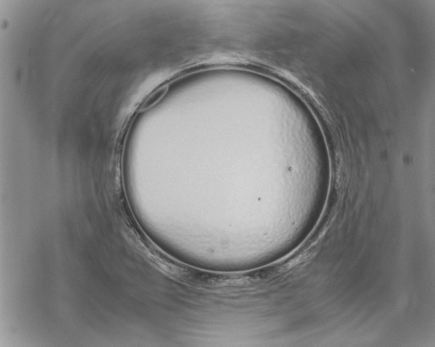 X0000069391367200606021621