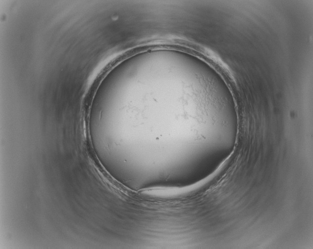 X0000069391368200606021621