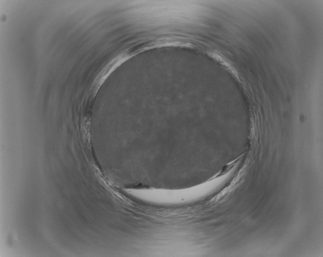 X0000069391369200606021621