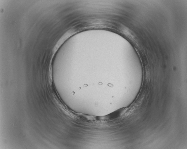 X0000069391370200606021621