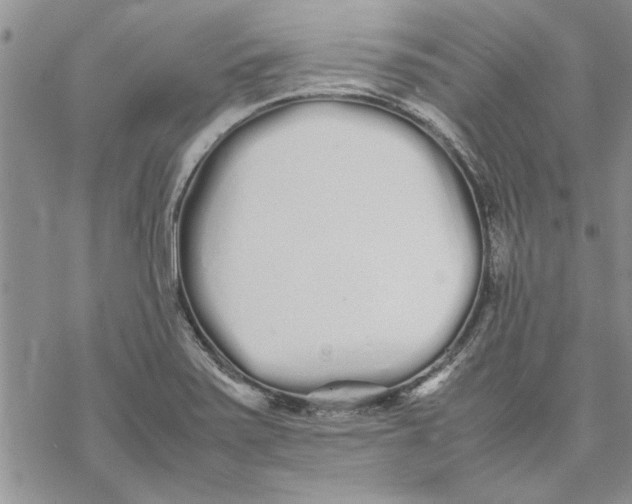 X0000069391371200606021621