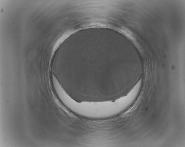 X0000069391373200606021621