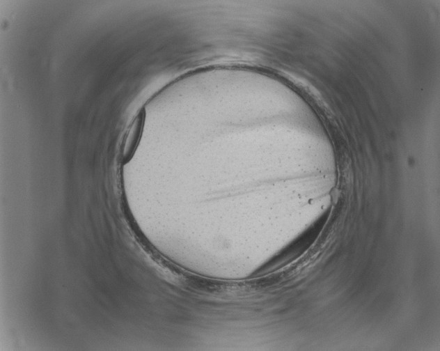 X0000069391375200606021621