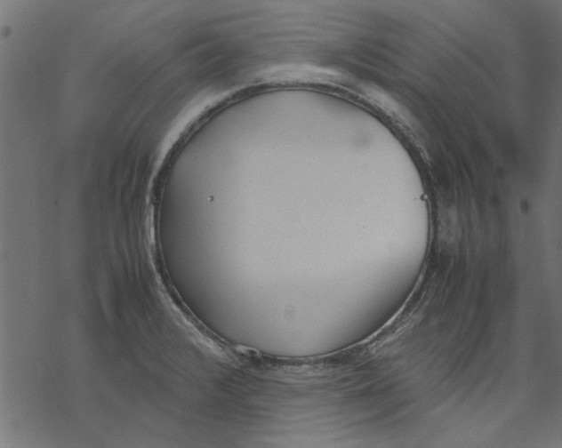 X0000069391376200606021621