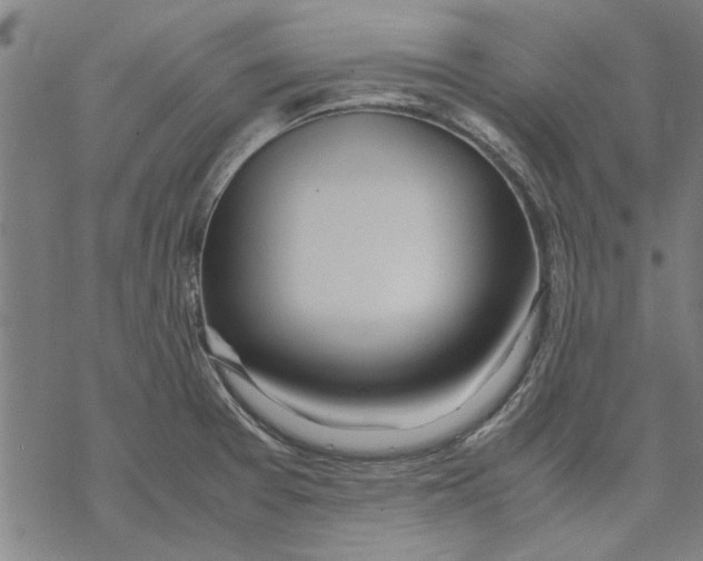 X0000069391377200606021621