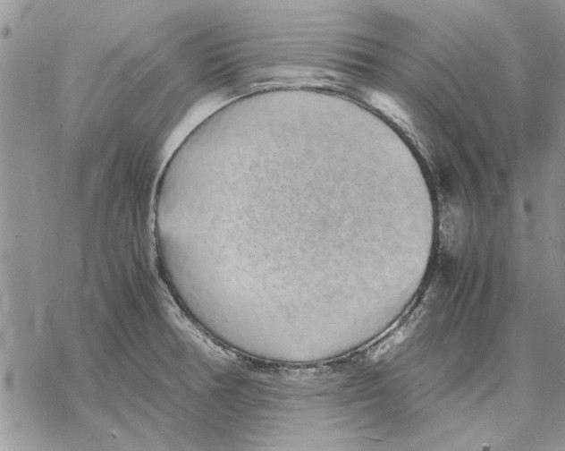 X0000069391378200606021621