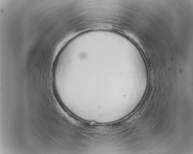 X0000069391379200606021621