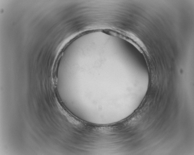 X0000069391380200606021621