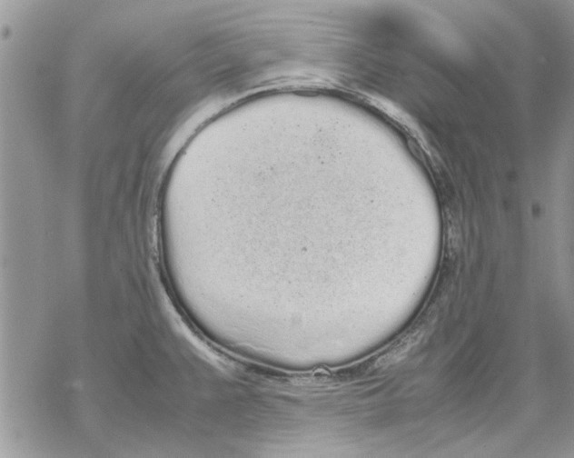 X0000069391383200606021621