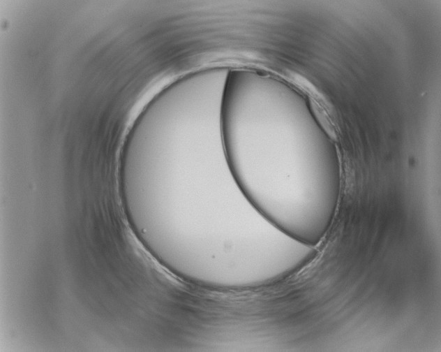 X0000069391384200606021621