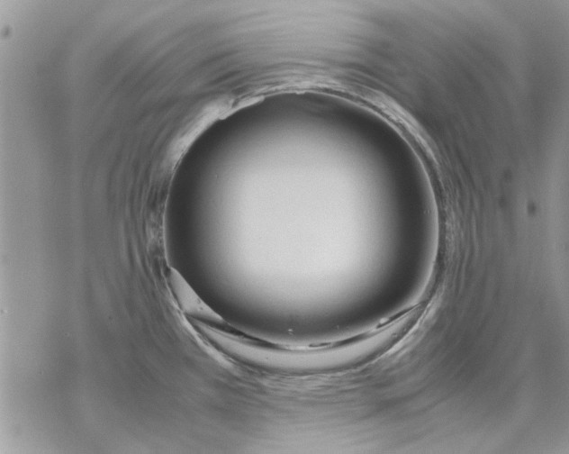 X0000069391385200606021621