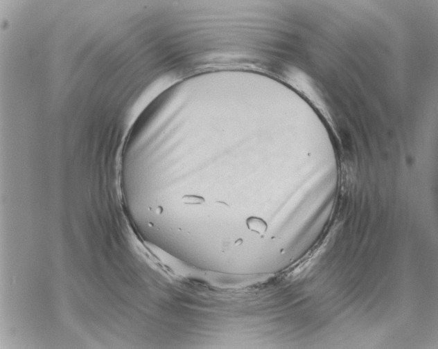 X0000069391386200606021621