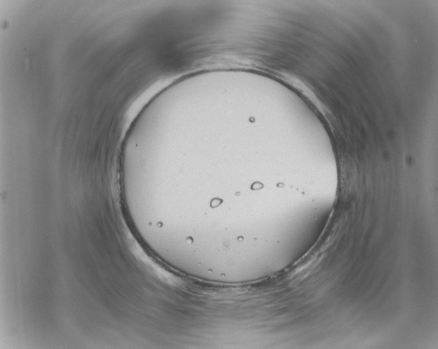 X0000069391387200606021621