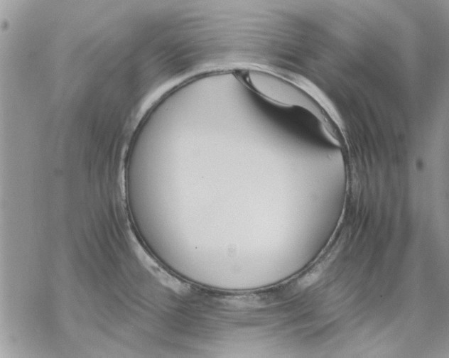 X0000069391388200606021621