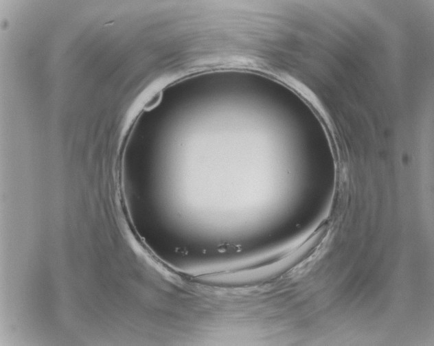 X0000069391389200606021621