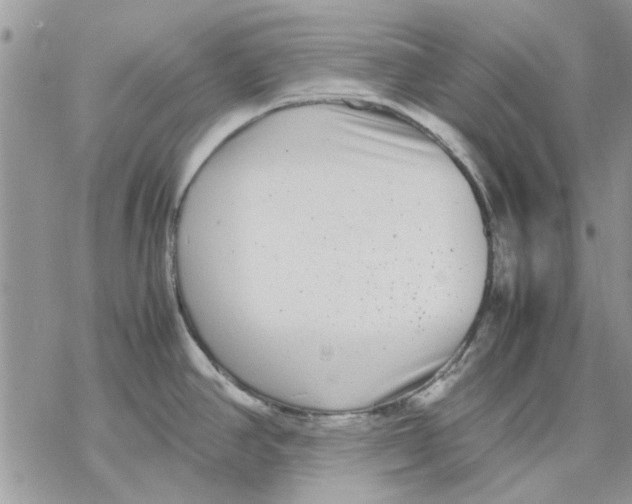 X0000069391390200606021621