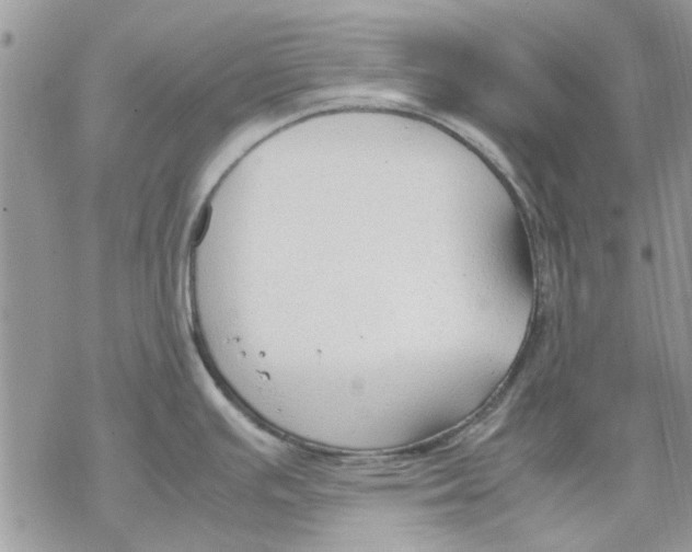 X0000069391391200606021621