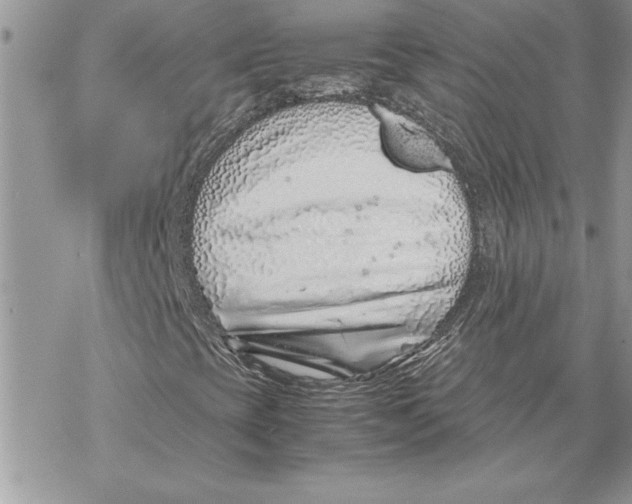 X0000069391393200606021620