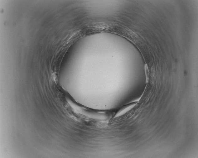 X0000069391394200606021620