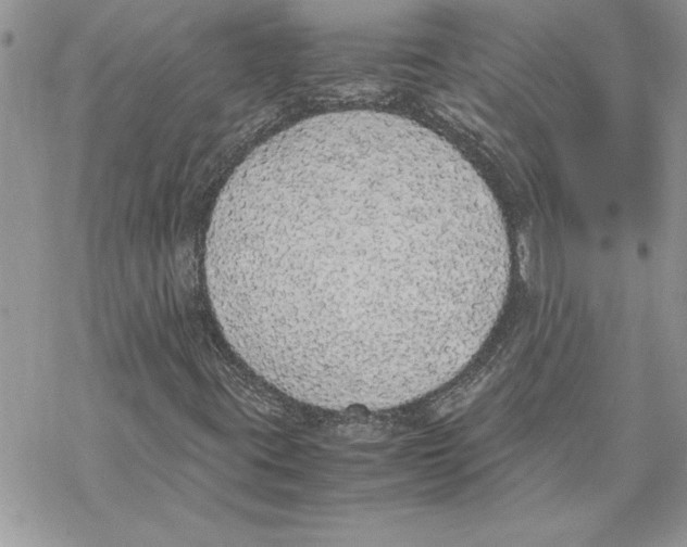 X0000069391395200606021620