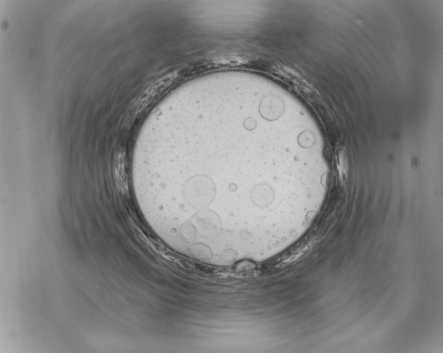 X0000069391396200606021620