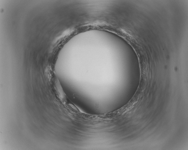 X0000069391398200606021620