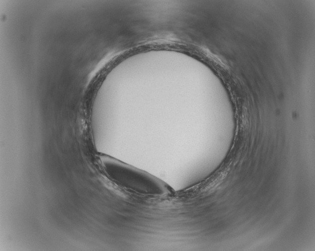 X0000069391400200606021620