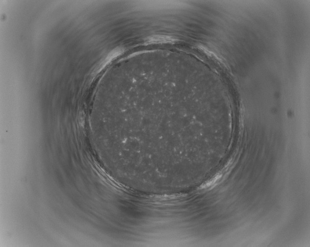 X0000069391401200606021620