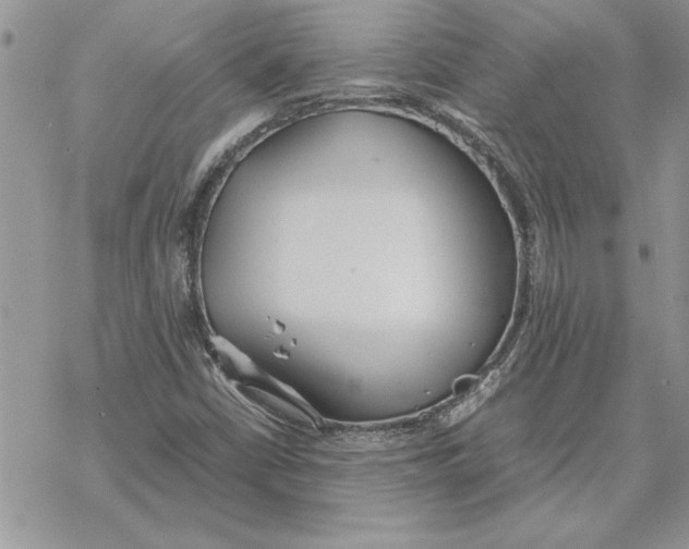 X0000069391402200606021620