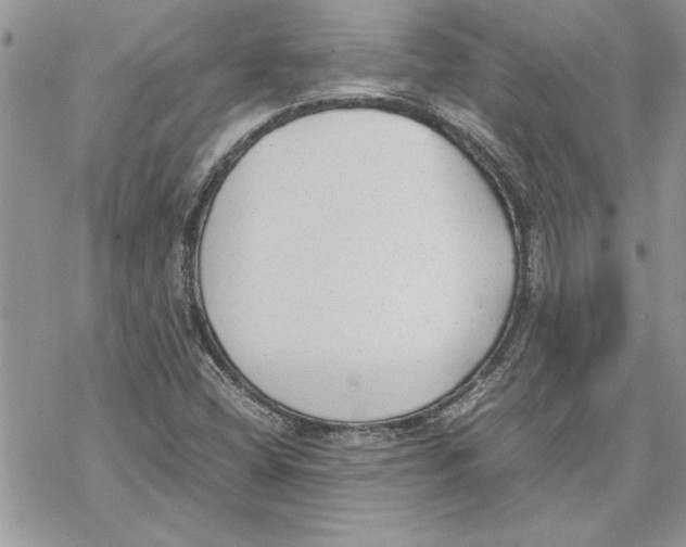 X0000069391404200606021620