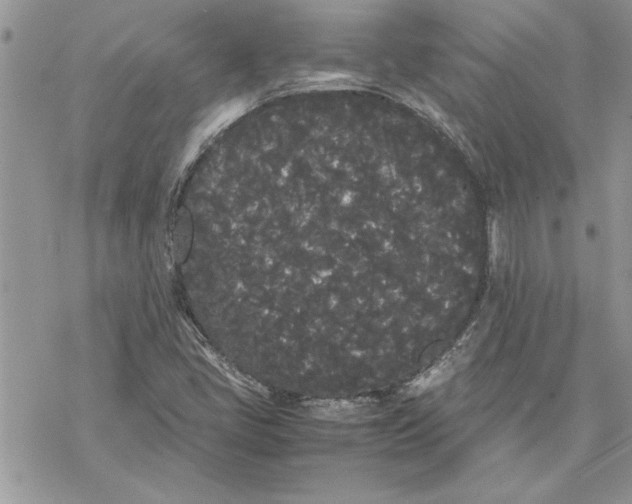 X0000069391405200606021620