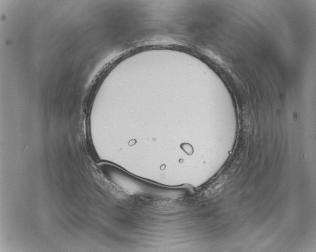 X0000069391408200606021620