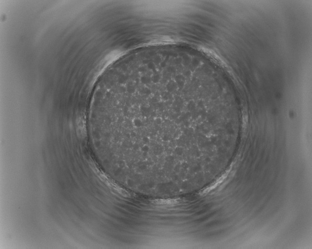 X0000069391409200606021620