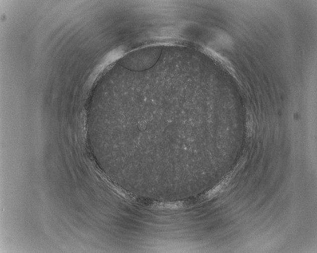 X0000069391411200606021620