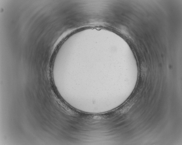 X0000069391412200606021620