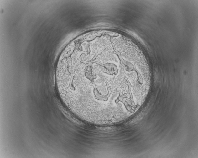 X0000069391413200606021620