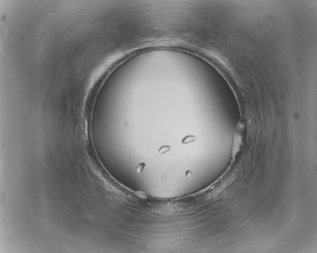 X0000069391414200606021620