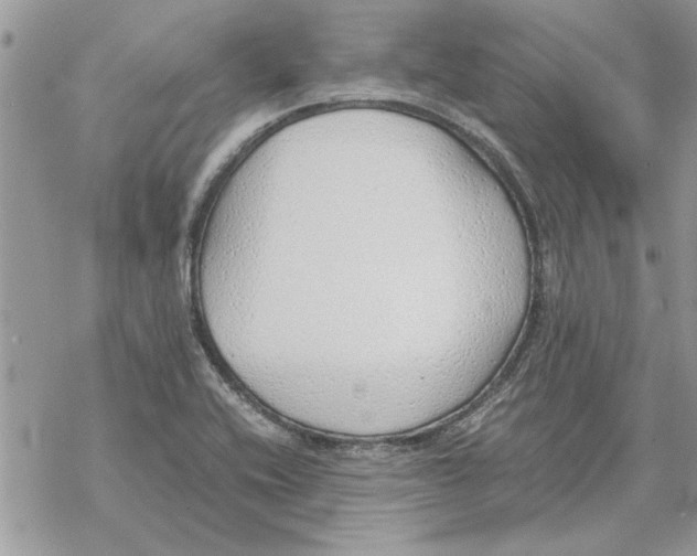 X0000069391416200606021620