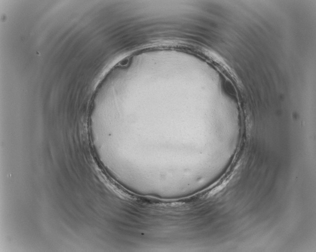 X0000069391417200606021620