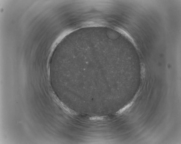 X0000069391419200606021620