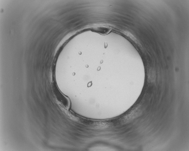 X0000069391420200606021620