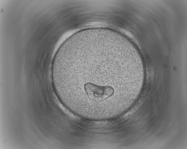 X0000069391421200606021620