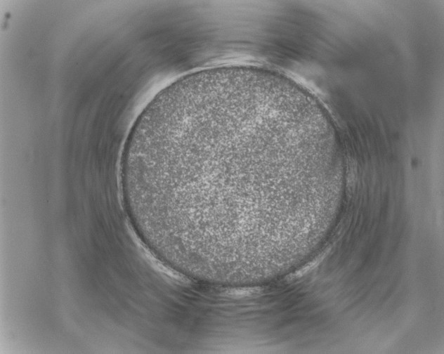 X0000069391423200606021620