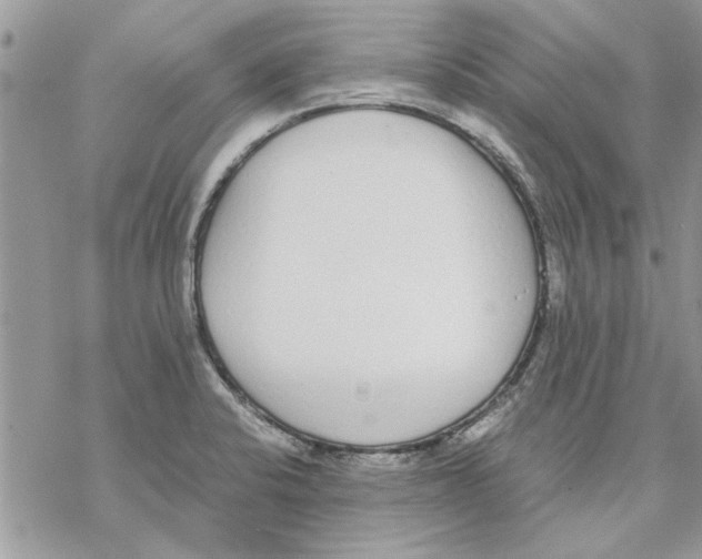 X0000069391424200606021620