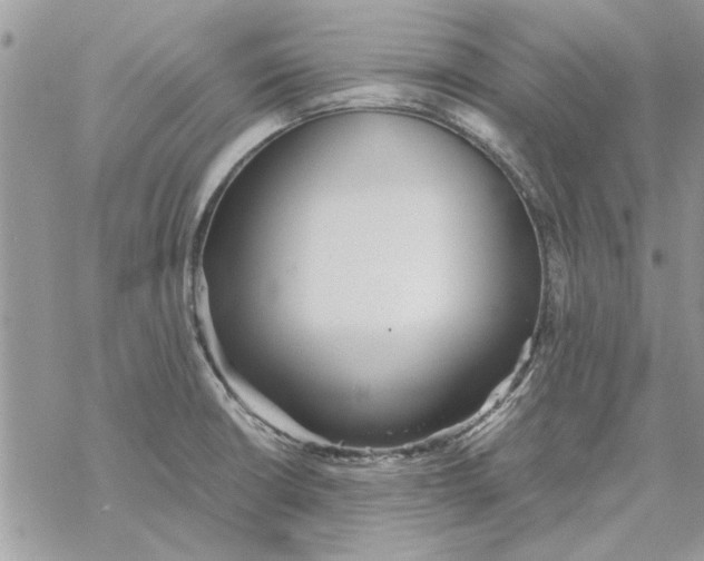 X0000069391426200606021620