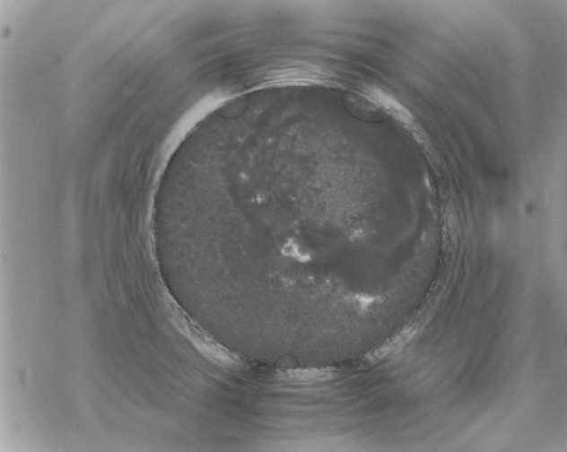 X0000069391427200606021620