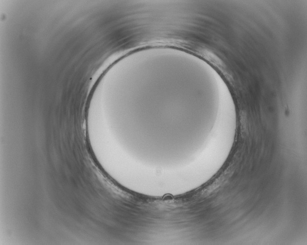 X0000069391428200606021620