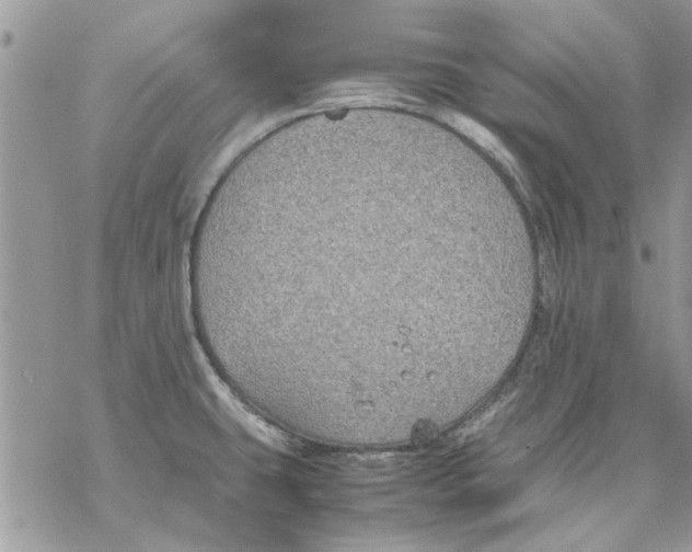 X0000069391431200606021621