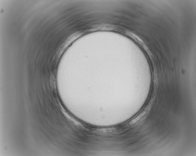 X0000069391433200606021621