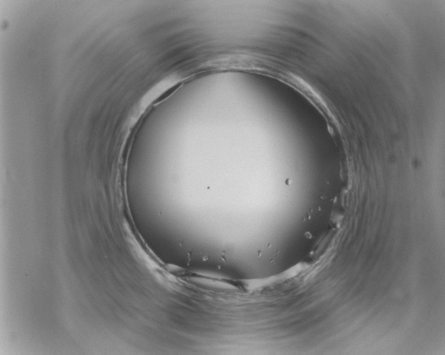 X0000069391434200606021621